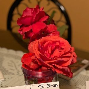 Meet your Posher, Soledad